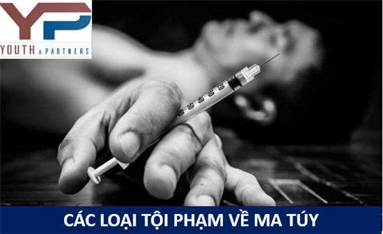 CÁC LOẠI TỘI PHẠM VỀ MA TÚY